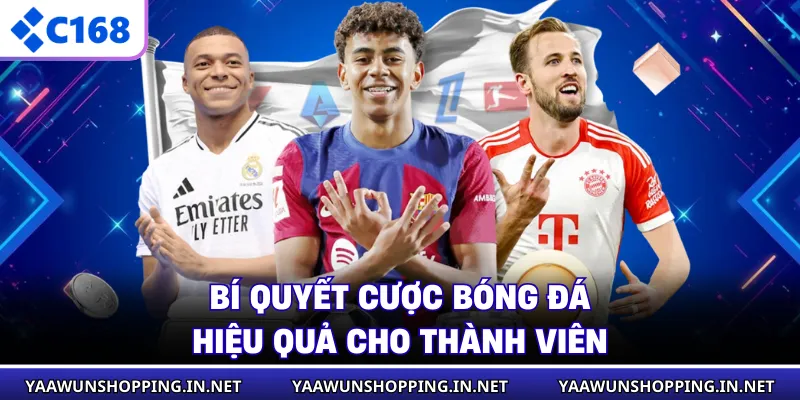 Bí quyết cược bóng đá hiệu quả cho thành viên