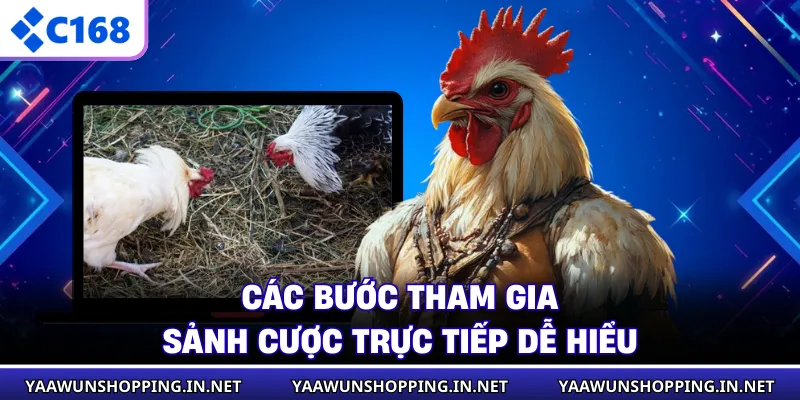 Các bước tham gia sảnh cược trực tiếp dễ hiểu