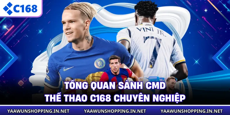 Tổng quan sảnh CMD thể thao C168 chuyên nghiệp