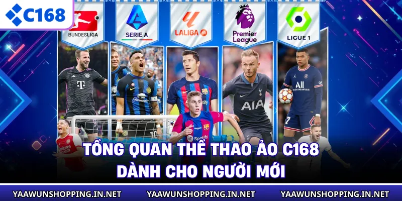 Tổng quan thể thao ảo C168 dành cho người mới